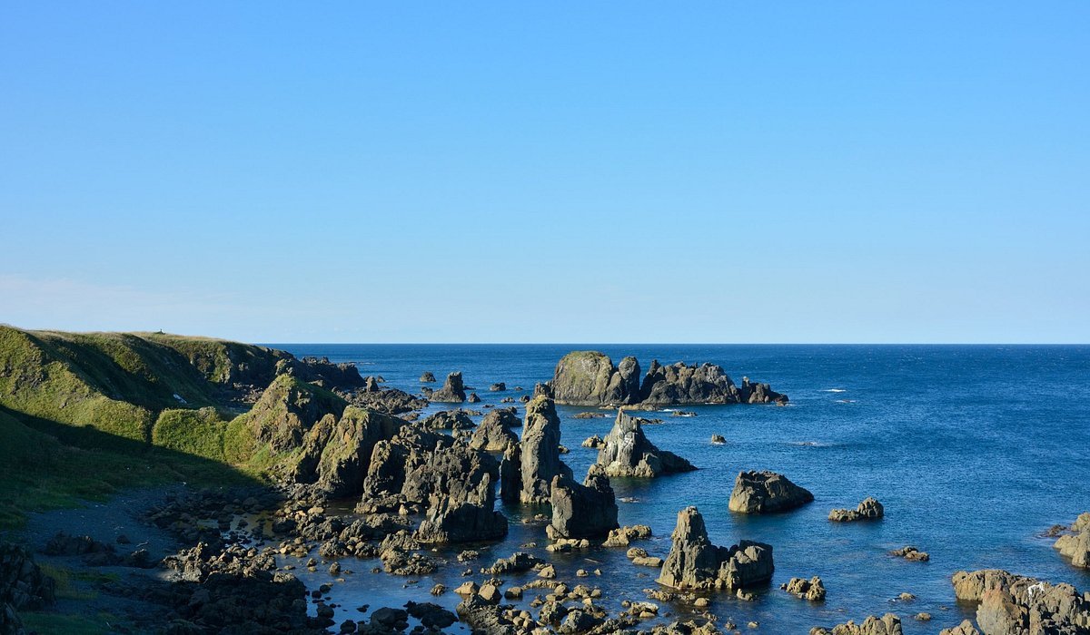 🏖️ 데토하마 해수욕장 (데토하마 카이스이요쿠조) 이미지 7